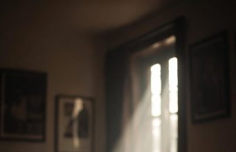 Las rendijas por donde vuelve la vida