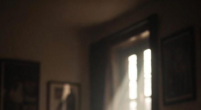 Las rendijas por donde vuelve la vida