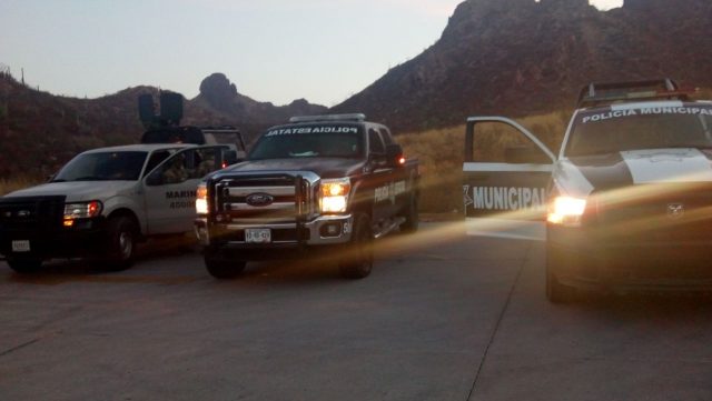 WhatsApp Image 2018-04-12 at 12.54.18