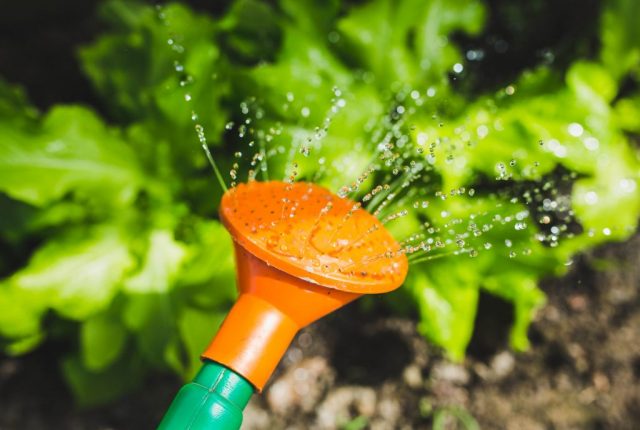 regando-jardin-1024x688