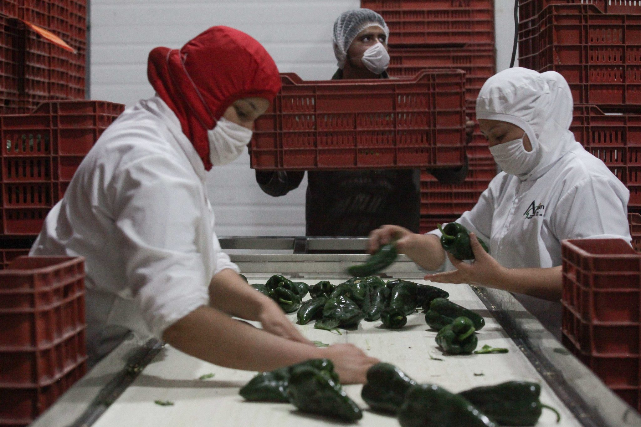 180730 EXPORTA CHILE-3