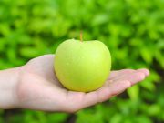 Cinco hábitos para mantenerte saludable: SSA