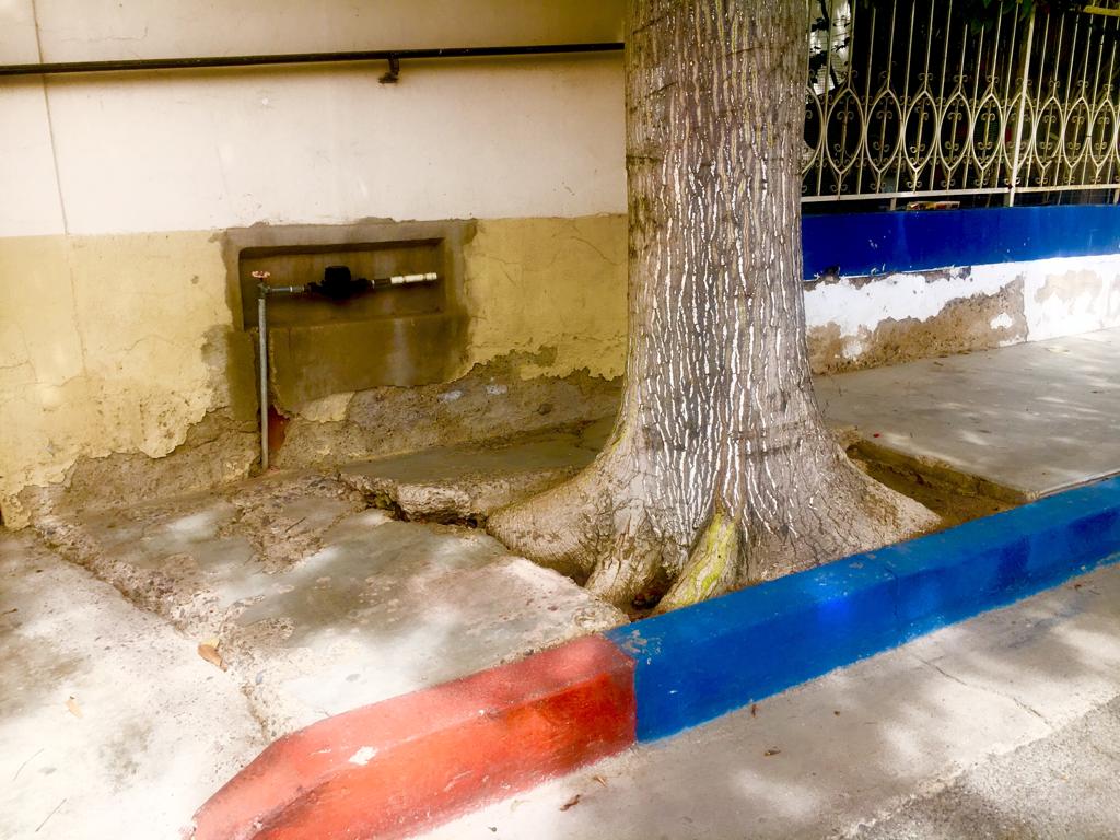 WhatsApp Image 2019-03-05 at 16.32.02