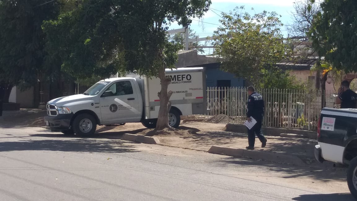 WhatsApp Image 2019-03-29 at 14.43.58