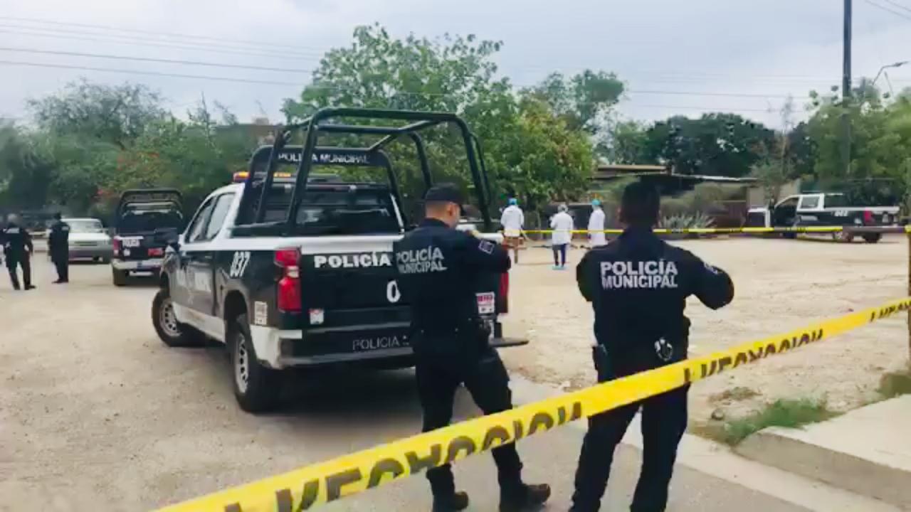 WhatsApp Image 2019-07-29 at 11.25.43