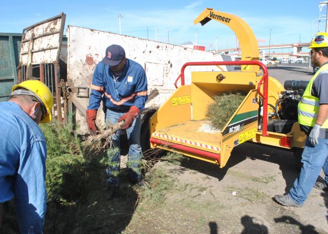 070119 Trituradora arbolitos 01