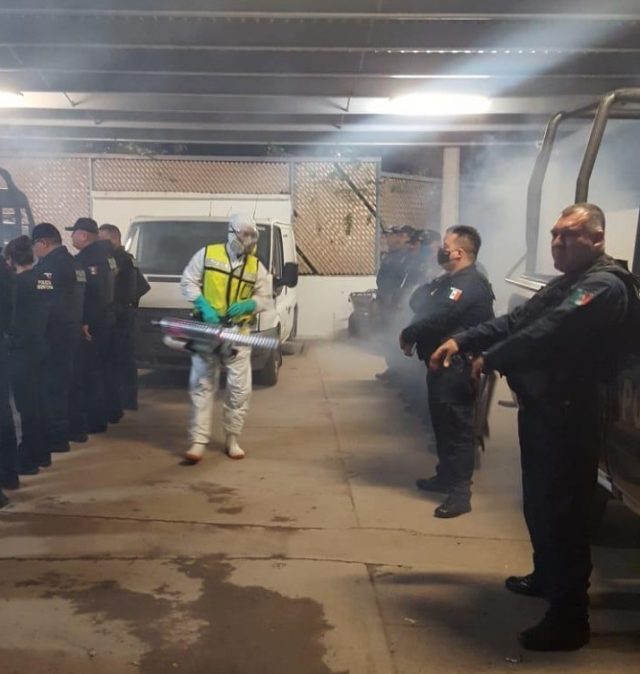 WhatsApp Image 2020-04-28 at 12.30.03