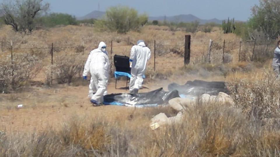 WhatsApp Image 2020-06-10 at 13.41.28