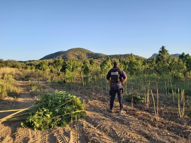 735D4DAD-F148-4D8B-91BB-F740B79AD09F