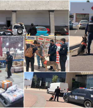 0B0F02D2-A5CA-4DCA-BFFB-A3FA552EF265