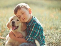 Grandes enseñanzas de las mascotas para los niños