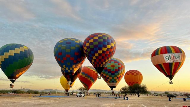 WhatsApp Image 2023-06-12 at 16.08.15