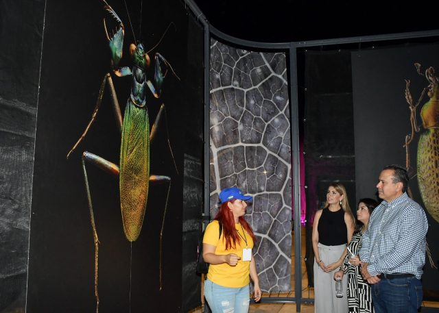 WhatsApp Image 2024-10-14 at 4.20.34 PM