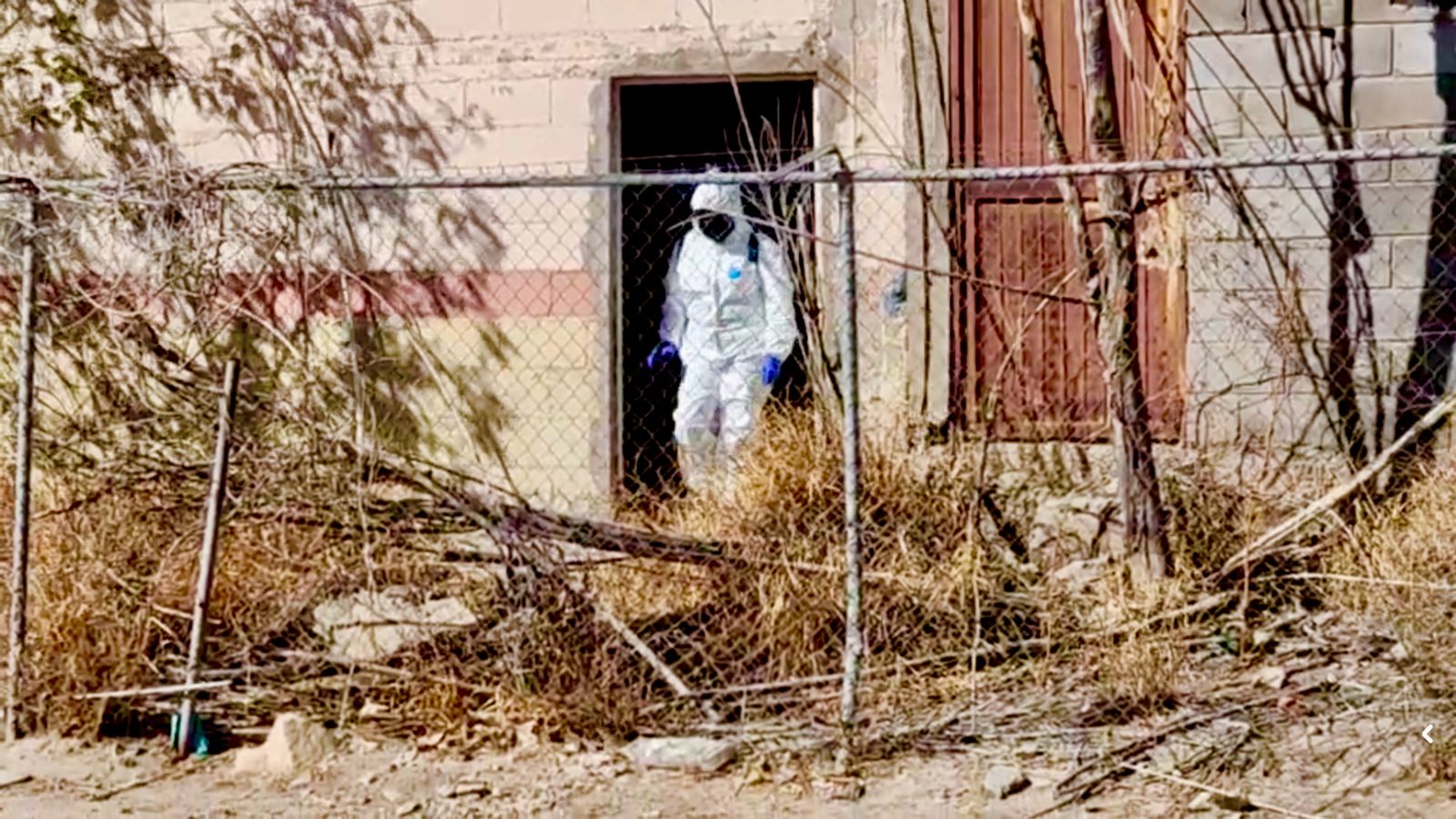 0289d503-522f-446e-81dc-ed47919c3962