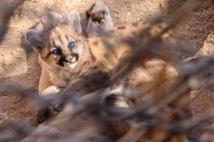 483508308_1226700119456877_8955342662242962527_n