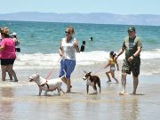 Disfrutan hermosillenses y visitantes la playa de Bahía de Kino este periodo vacacional