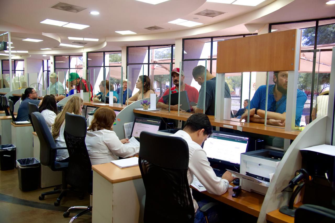 WhatsApp Image 2025-11-12 at 3.29.37 PM