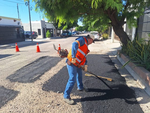 WhatsApp Image 2025-11-23 at 2.49.40 PM