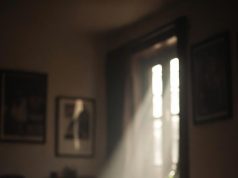 Las rendijas por donde vuelve la vida