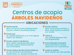 Invita Ayuntamiento de Hermosillo a depositar árboles navideños en centros de acopio