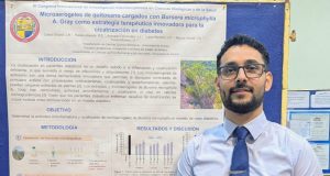 Propone estudiante Unison biomateriales avanzados para mejorar cicatrización en pacientes diabéticos