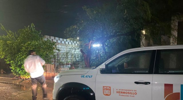 Dependencias municipales atienden afectaciones por la lluvia y el viento