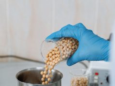 Evalúan mecanismos para disminuir la presión arterial con proteína de garbanzo