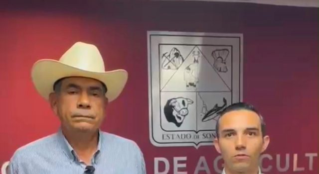 Refuerza Gobierno de Sonora vigilancia sanitaria ante detección de gusano barrenador