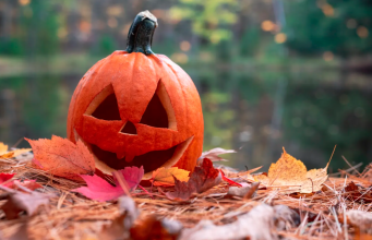 ¿Por qué hay calabazas en Halloween? La historia detrás de uno de sus símbolos más famosos