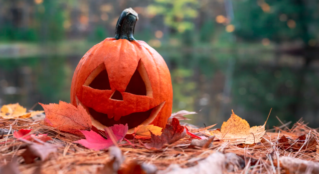 ¿Por qué hay calabazas en Halloween? La historia detrás de uno de sus símbolos más famosos