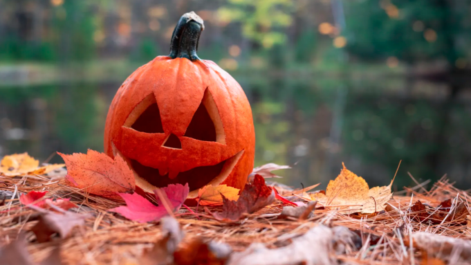 pumpkin